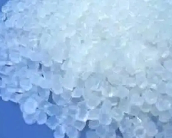   旭化成將加速使用生物質(zhì)中間體制造聚酰胺66的商業(yè)化試驗(yàn)