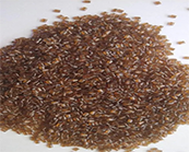  國外知名的PPS改性塑料產(chǎn)品匯總